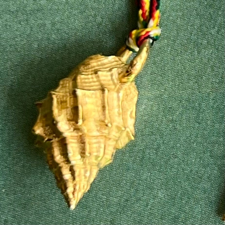 Charm's MINI COQUILLAGE