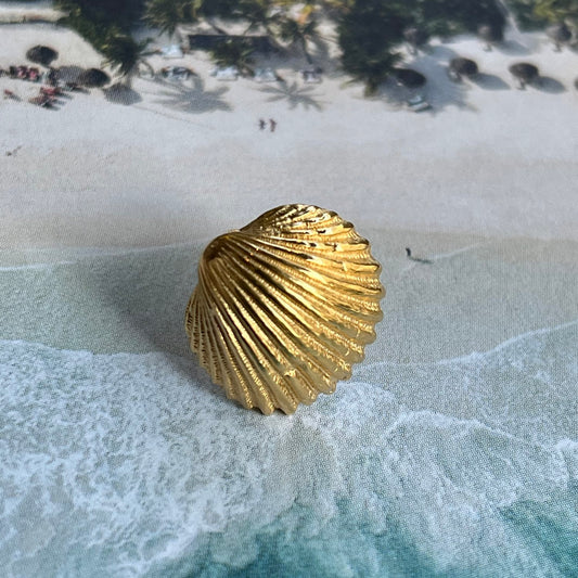 Stud COQUILLAGE